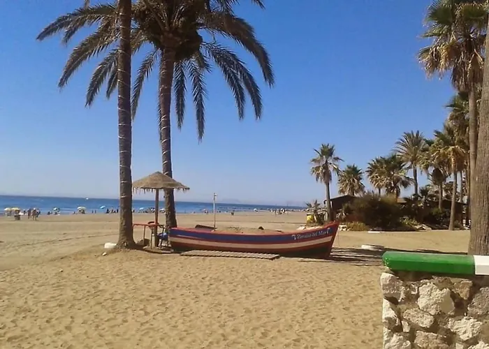 Sr Wellingtonia Centro