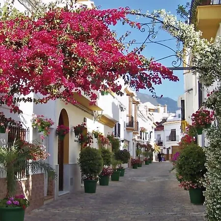 Apartment Sr Wellingtonia Centro *