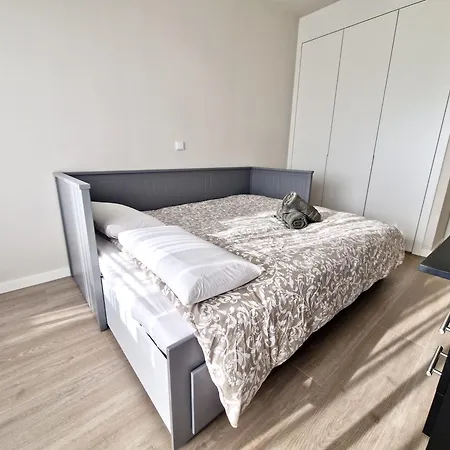 Sr Wellingtonia Centro