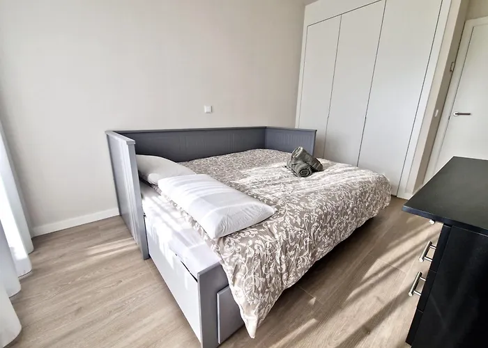 Sr Wellingtonia Centro