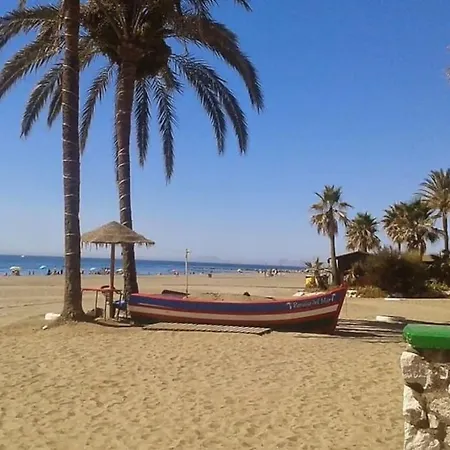 Sr Wellingtonia Centro