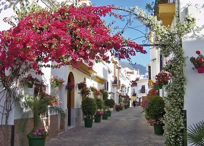 Apartment Sr Wellingtonia Centro *